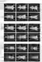 Fig. 23 - EGFR-binding agents and uses thereof