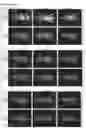 Fig. 24 - EGFR-binding agents and uses thereof