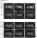 Fig. 27 - EGFR-binding agents and uses thereof