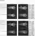 Fig. 28 - EGFR-binding agents and uses thereof