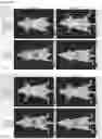 Fig. 30 - EGFR-binding agents and uses thereof