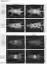 Fig. 32 - EGFR-binding agents and uses thereof