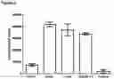 Fig. 08 - HUMANIZED ANTI-CD40 ANTIBODIES