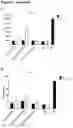 Fig. 10 - HUMANIZED ANTI-CD40 ANTIBODIES