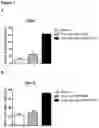 Fig. 11 - HUMANIZED ANTI-CD40 ANTIBODIES