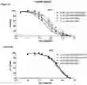 Fig. 13 - HUMANIZED ANTI-CD40 ANTIBODIES