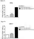 Fig. 16 - HUMANIZED ANTI-CD40 ANTIBODIES