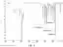 Fig. 04 - Prepolymerized resin and use thereof