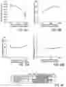 Fig. 27 - Polymeric adhesive for anchoring compliant materials to another surface