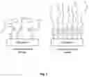 Fig. 02 - Preparation of solvent and polymer redispersible formulations of dried cellulose nanocrystals (CNC)