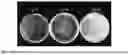 Fig. 05 - Preparation of solvent and polymer redispersible formulations of dried cellulose nanocrystals (CNC)
