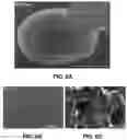 Fig. 07 - Method for purification of depolymerized polymers using supercritical fluid extraction