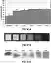 Fig. 22 - Method for purification of depolymerized polymers using supercritical fluid extraction