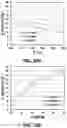 Fig. 43 - Method for purification of depolymerized polymers using supercritical fluid extraction