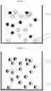 Fig. 07 - NANOCOMPOSITE HEMP