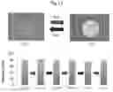 Fig. 13 - Temperature-responsive gel having LCST with no volume phase transition, and production method therefor