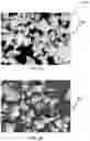 Fig. 03 - Polymer powder and method of preparing the same