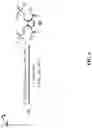 Fig. 08 - Cyclic bio-renewable flame retardants