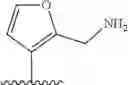 Fig. 22 - RED FLUORESCENT PROBE FOR USE IN DETECTION OF PEPTIDASE ACTIVITY