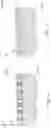 Fig. 07 - Composite coating on a contact face of a tool