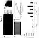 Fig. 06 - Graphene enhanced and engineered materials for membrane touch switch and other flexible electronic structures