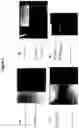 Fig. 10 - Graphene enhanced and engineered materials for membrane touch switch and other flexible electronic structures