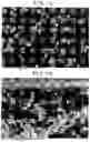 Fig. 08 - High-frequency dielectric heating adhesive sheet, and adhesion method in which same is used
