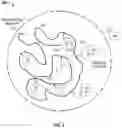 Fig. 03 - Capsule design for the capture of reagents