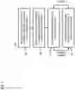 Fig. 03 - Method, apparatus, and system for providing an integrated bioenergy complex to process mixed solid waste