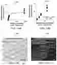Fig. 19 - BIOREACTOR MODULE, A BIOREACTOR SYSTEM AND METHODS FOR THICK TISSUE SEEDING AND CULTIVATION IN AN HIERARCHICAL ORGANIZATION AND PHYSIOLOGICAL MIMICKING CONDITIONS
