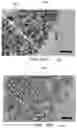 Fig. 20 - BIOREACTOR MODULE, A BIOREACTOR SYSTEM AND METHODS FOR THICK TISSUE SEEDING AND CULTIVATION IN AN HIERARCHICAL ORGANIZATION AND PHYSIOLOGICAL MIMICKING CONDITIONS