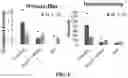 Fig. 10 - Devices and methods for isolating a migratory cell population