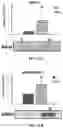 Fig. 16 - Devices and methods for isolating a migratory cell population
