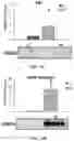 Fig. 17 - Devices and methods for isolating a migratory cell population