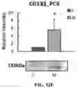 Fig. 22 - Devices and methods for isolating a migratory cell population