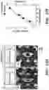 Fig. 12 - Cell culture system