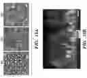 Fig. 15 - Cell culture system