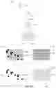 Fig. 05 - Instruments, modules, and methods for improved detection of edited sequences in live cells
