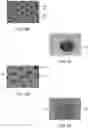 Fig. 14 - Instruments, modules, and methods for improved detection of edited sequences in live cells