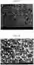 Fig. 04 - METHOD OF MANUFACTURING A CULTURE SUPPORT HAVING IMPROVED CELL ADHESIVENESS AND MOBILITY