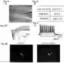Fig. 10 - Methods of maintaining, expanding, and differentiating neuronal subtype specific progenitors