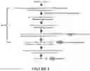 Fig. 02 - METHODS FOR DIFFERENTIATING PLURIPOTENT STEM CELLS IN DYNAMIC SUSPENSION CULTURE