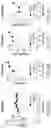 Fig. 12 - Generation of human spinal cord neural stem cells
