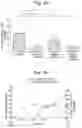 Fig. 18 - Composition comprising B regulatory cells
