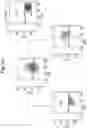 Fig. 19 - Composition comprising B regulatory cells