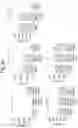 Fig. 30 - Composition comprising B regulatory cells
