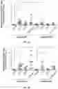 Fig. 03 - METHODS FOR ISOLATING, EXPANDING AND ADMINISTERING CANCER SPECIFIC CD8+ T CELLS