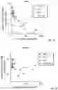Fig. 05 - METHODS FOR ISOLATING, EXPANDING AND ADMINISTERING CANCER SPECIFIC CD8+ T CELLS