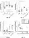 Fig. 08 - METHODS FOR ISOLATING, EXPANDING AND ADMINISTERING CANCER SPECIFIC CD8+ T CELLS