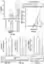 Fig. 17 - METHODS FOR ISOLATING, EXPANDING AND ADMINISTERING CANCER SPECIFIC CD8+ T CELLS